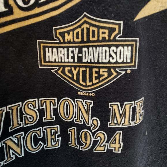 Vintage Harley-Davidson 2004 Black Graphic T-Shirt Large Biker Tee Grunge Y2K - Picture 4 of 9